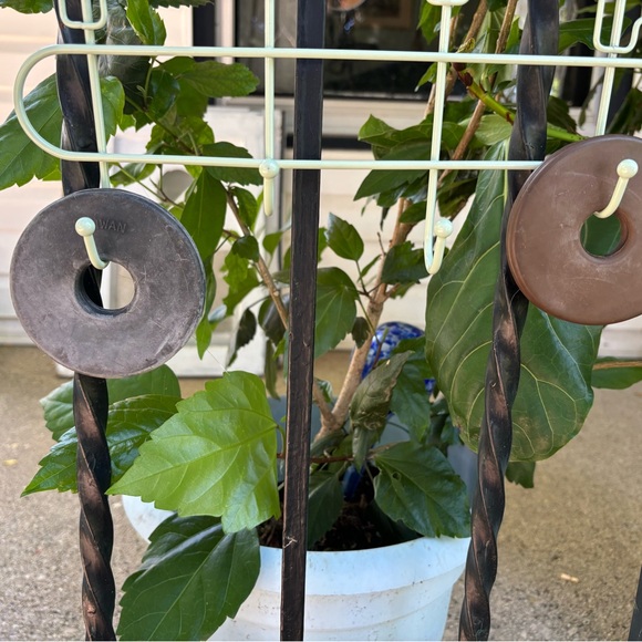 BITS - Picture 9 of 9